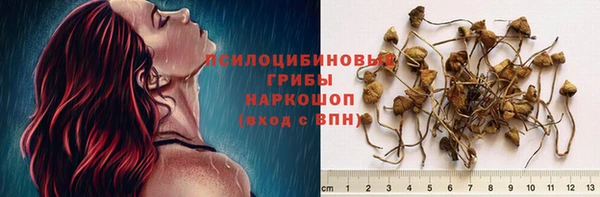 стафф Абдулино